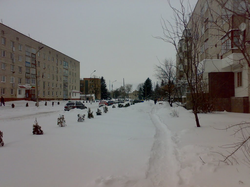 Зимній центр