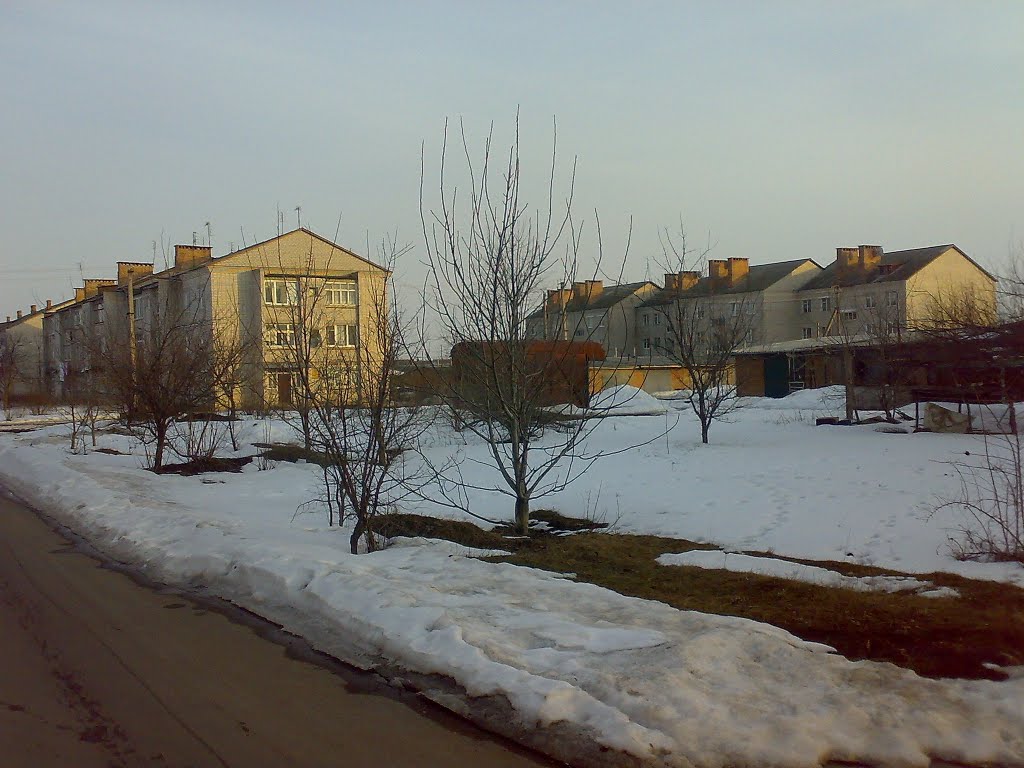 Вулиця Гагаріна (Пожарка)