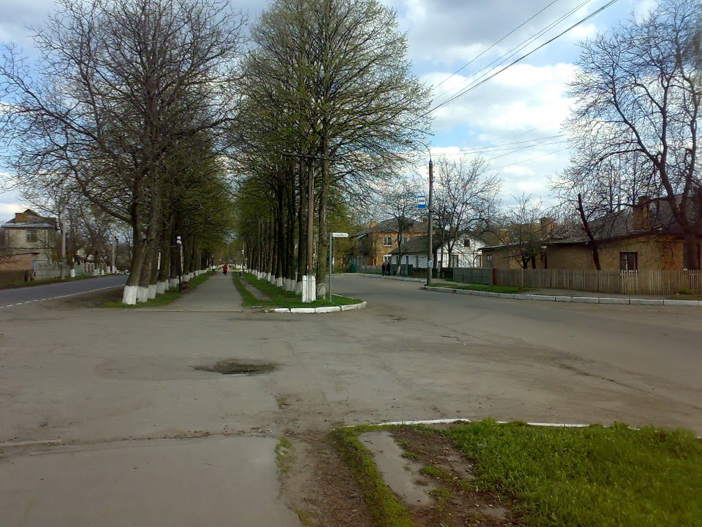 На розі вулиць Першотравневої та Карла Маркса