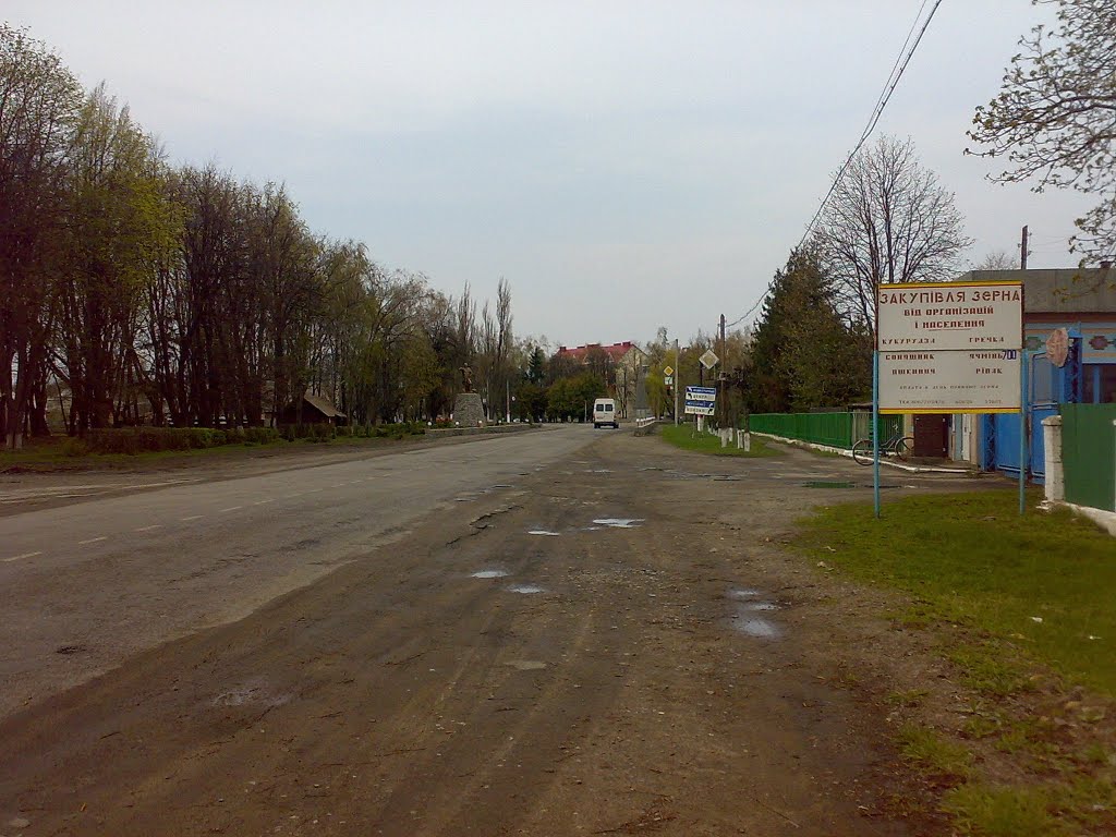Вулиця Пушкіна, зліва парк імені Івана Гонти