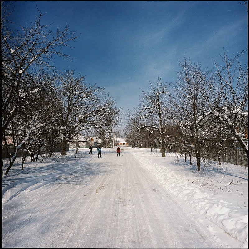 winter