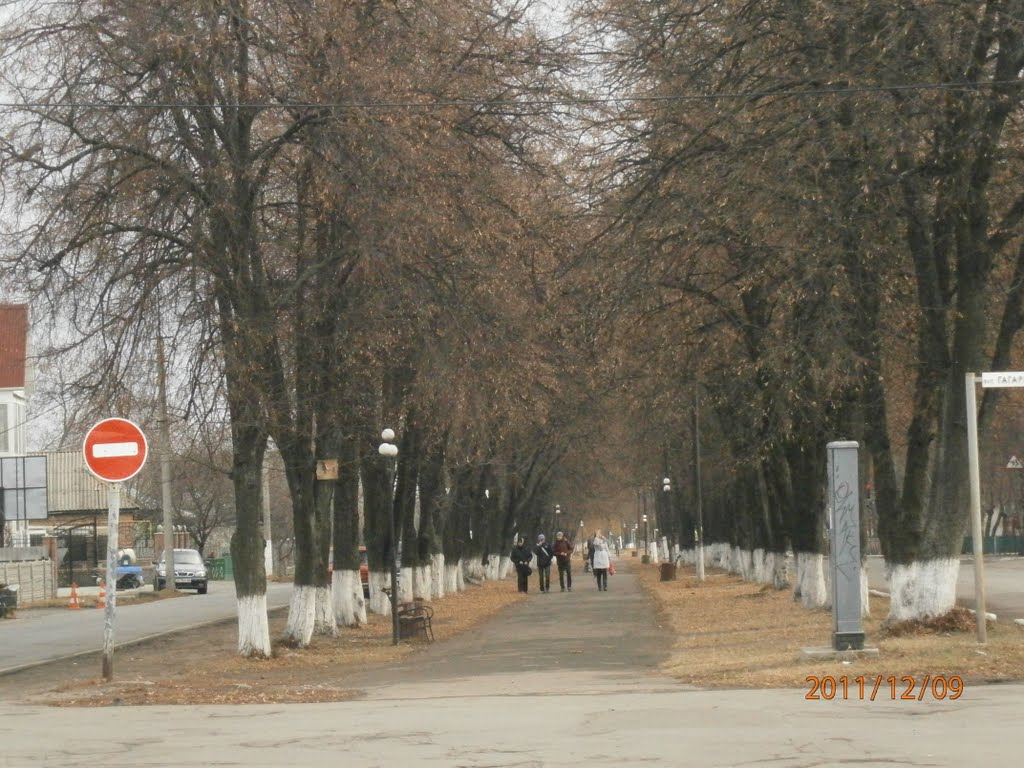 Крокуючи по вул. Першотравневій