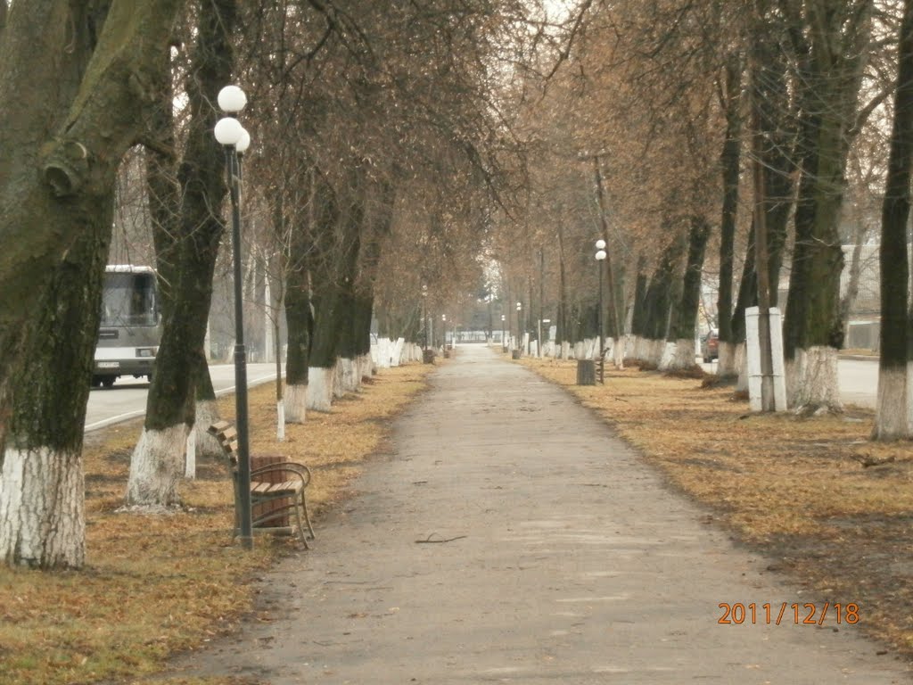 Вулиця 1-го Травня