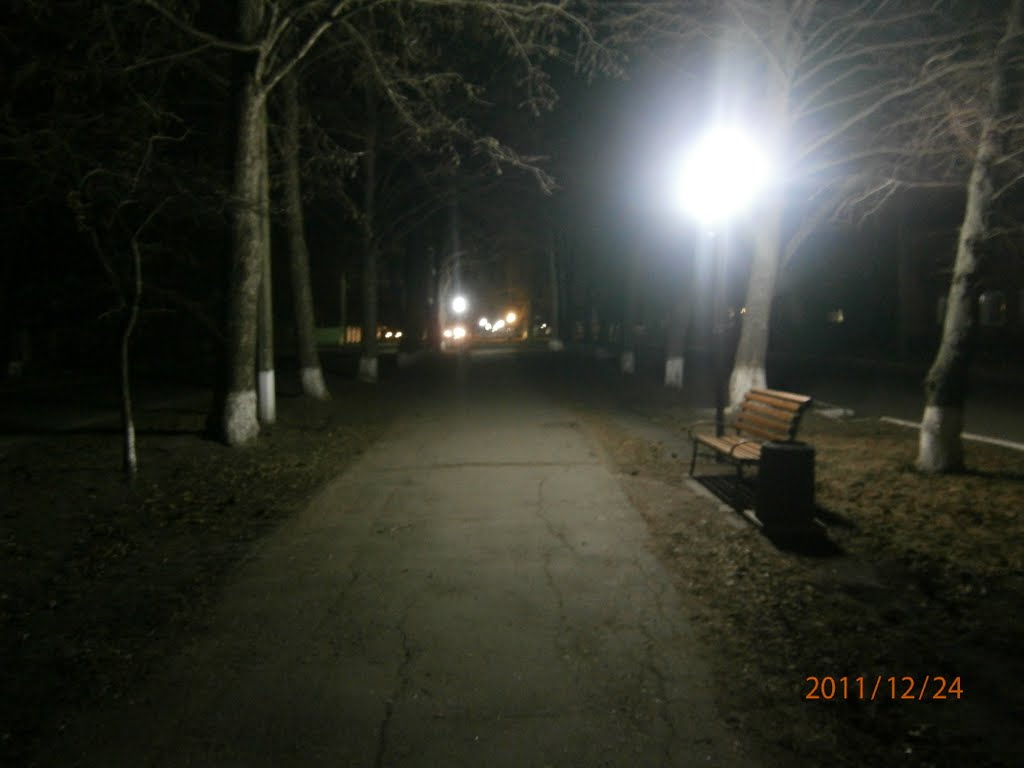 Нічна Першотравнева