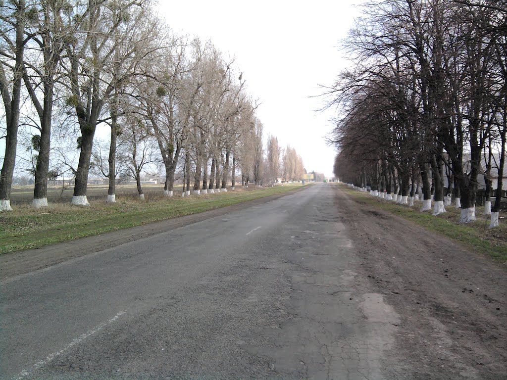В`їзд в місто