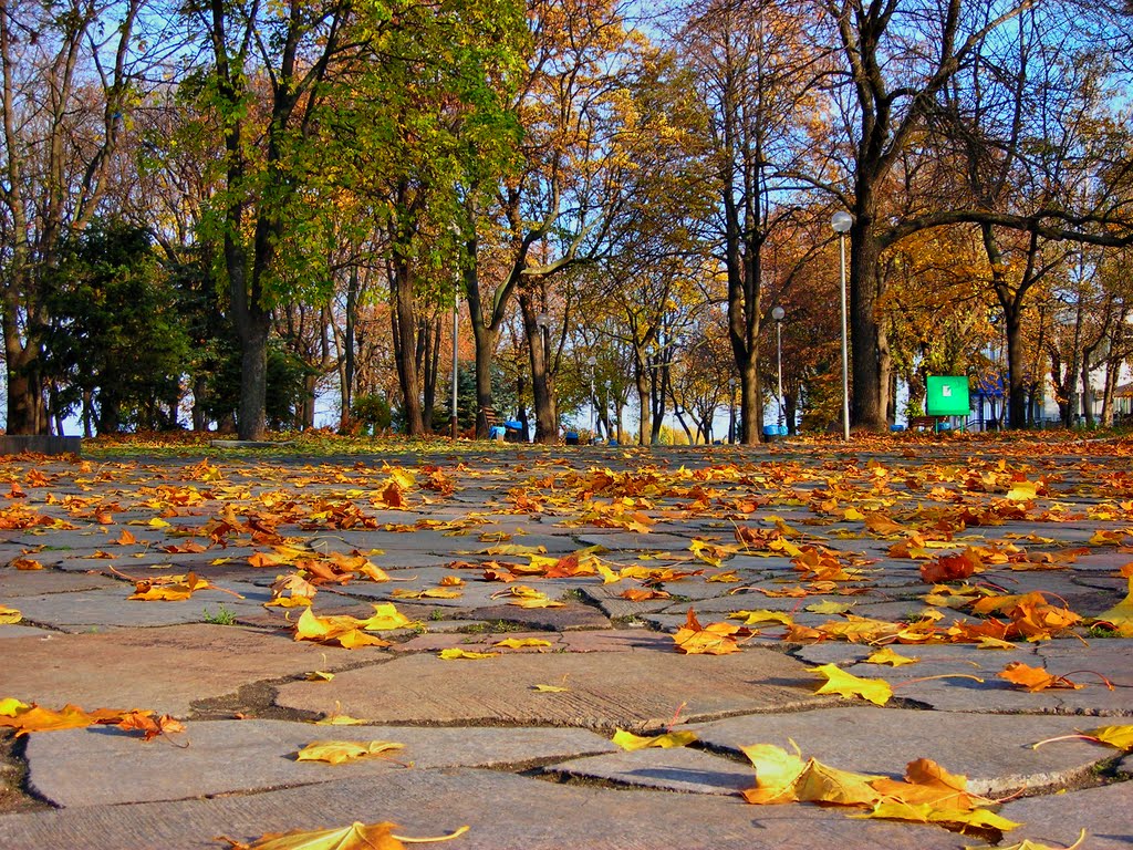 Черкаси..Парк