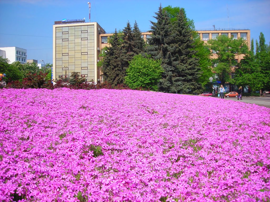 Черкаси.Центр