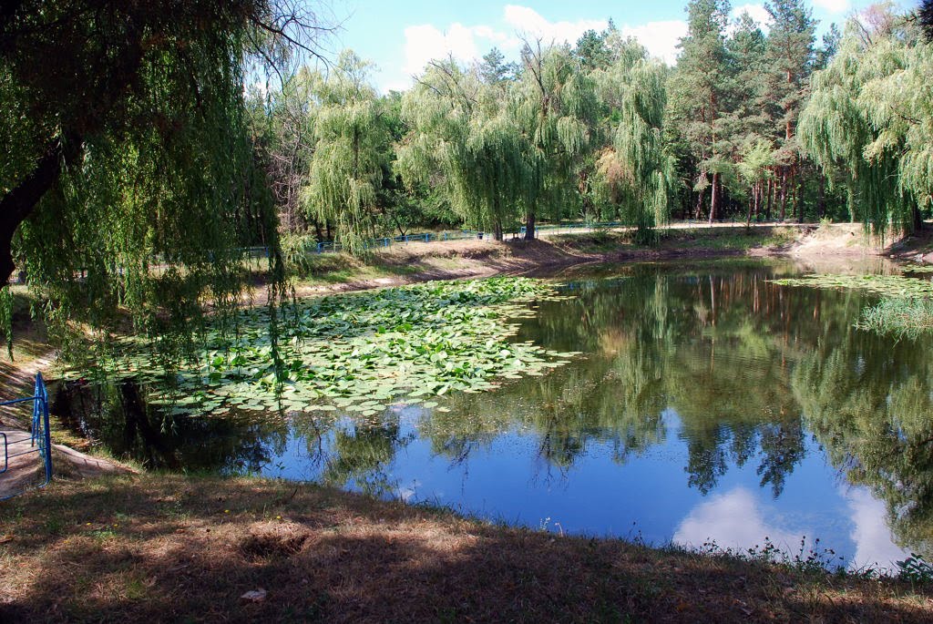 Ставок на Замковій горі