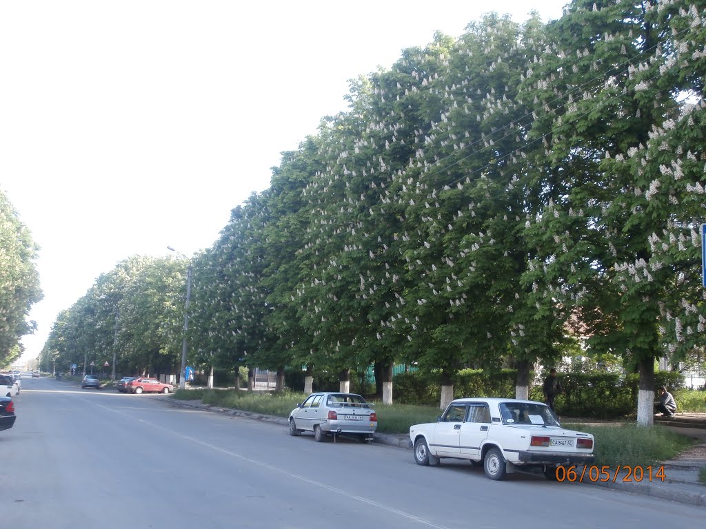 Каштани