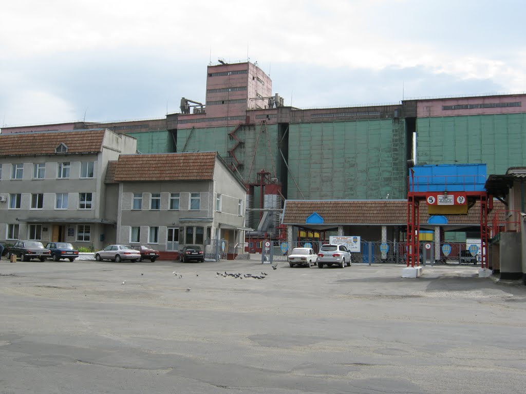 Элеватор