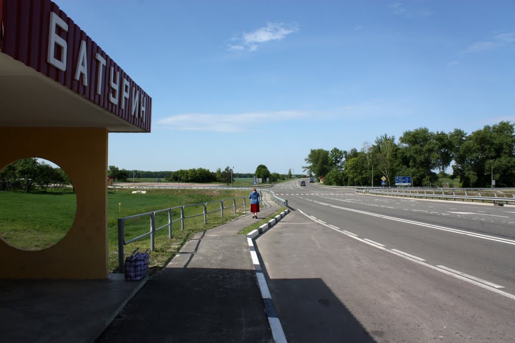 Батурин/Baturyn