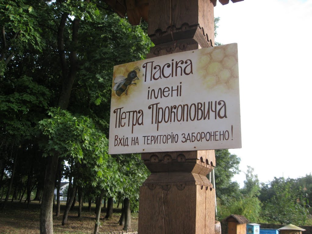 Батурин (Чернігівська обл.) - Пасіка імені Петра Прокоповича