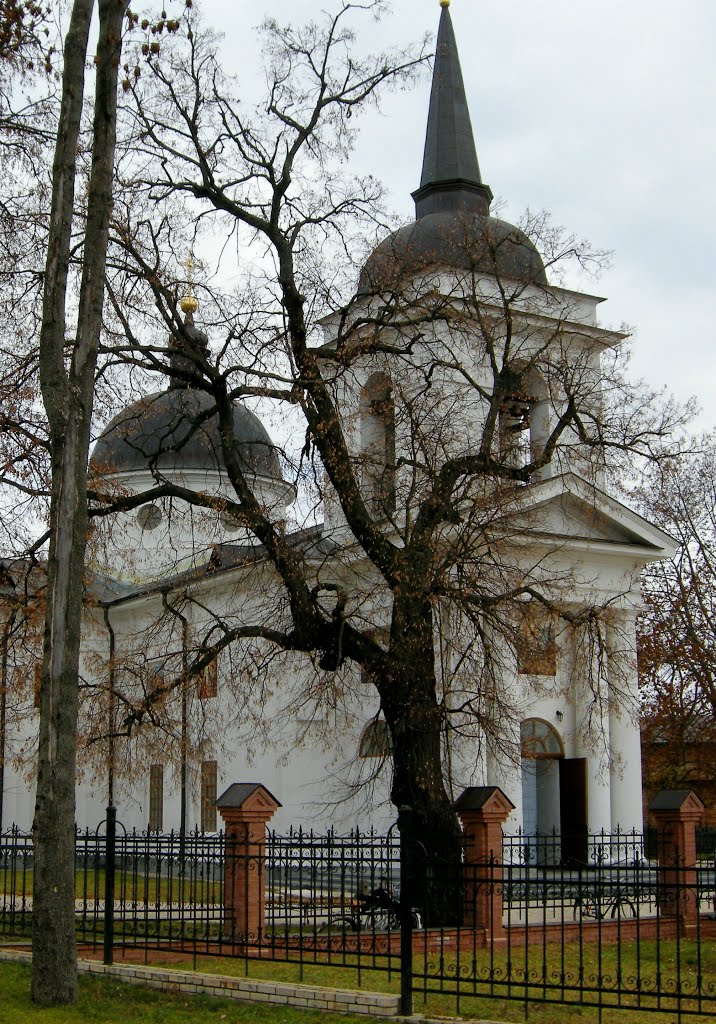 Воскресенская церковь в Батурине