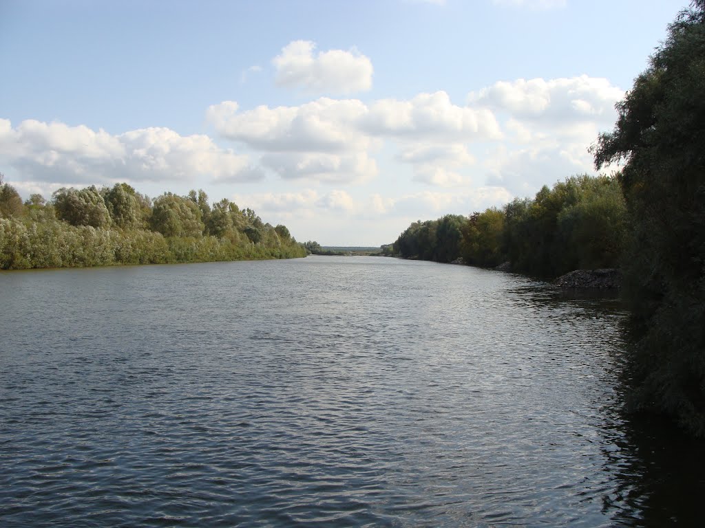Батурин. Сейм.