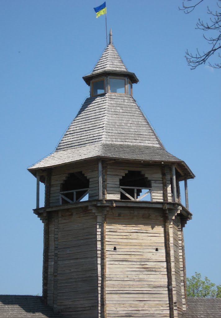 Цитадель в Батурине