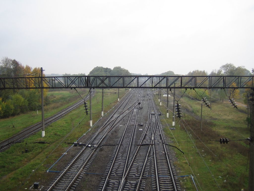 На Киев