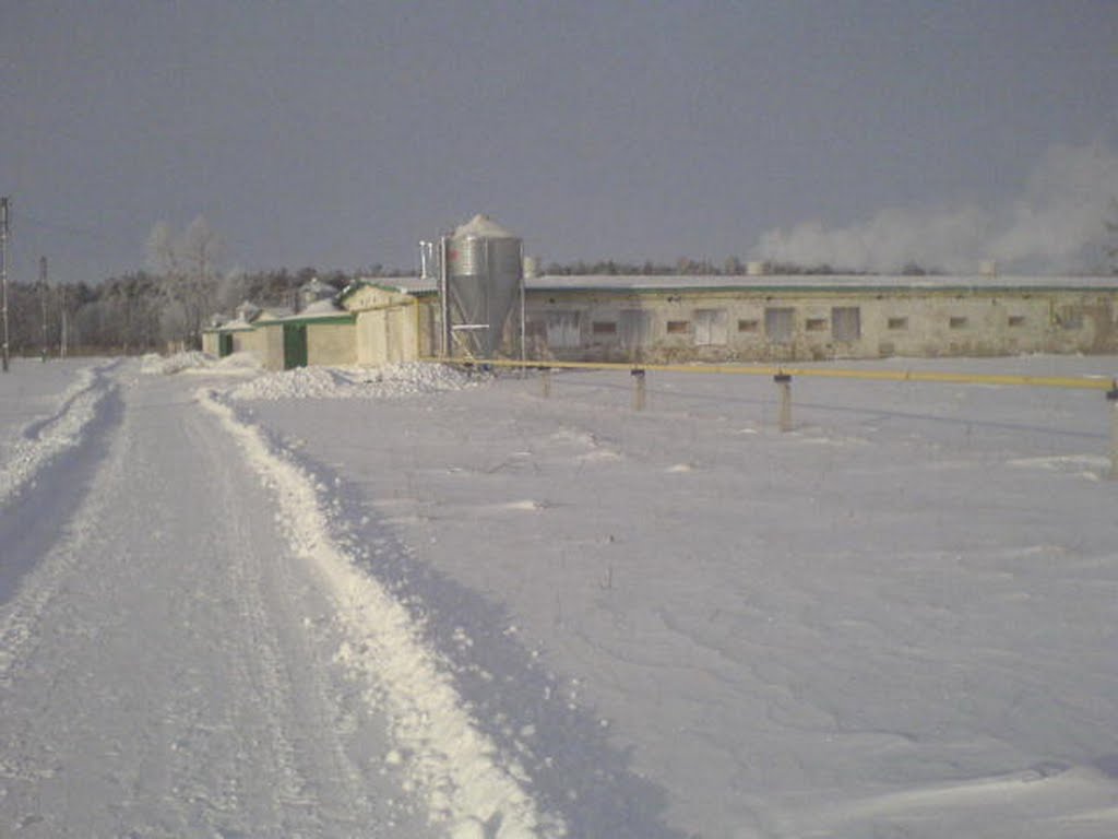 Berezna