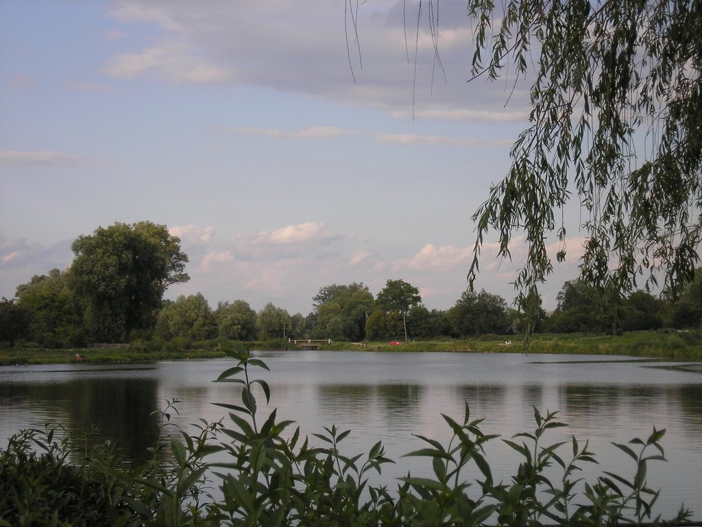 Річка "Бистриця"