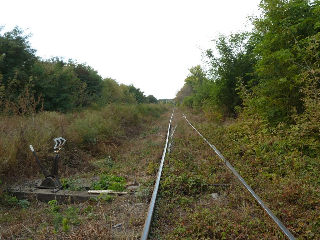 В сторону ст. Бобровица