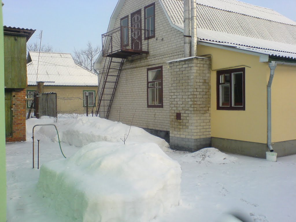 Зима в Бобровице. Васина фазенда