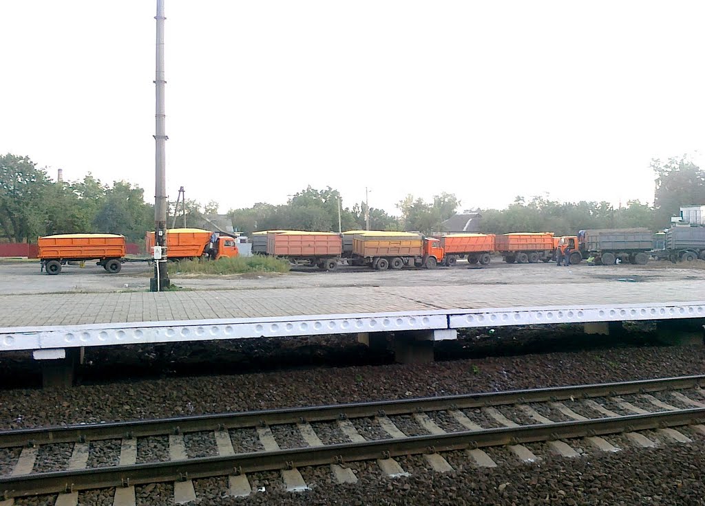 Хлібоприймальне підприємство