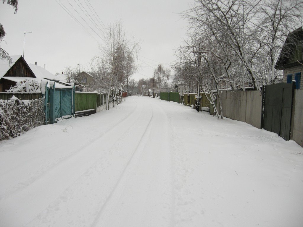 Зимняя дорога