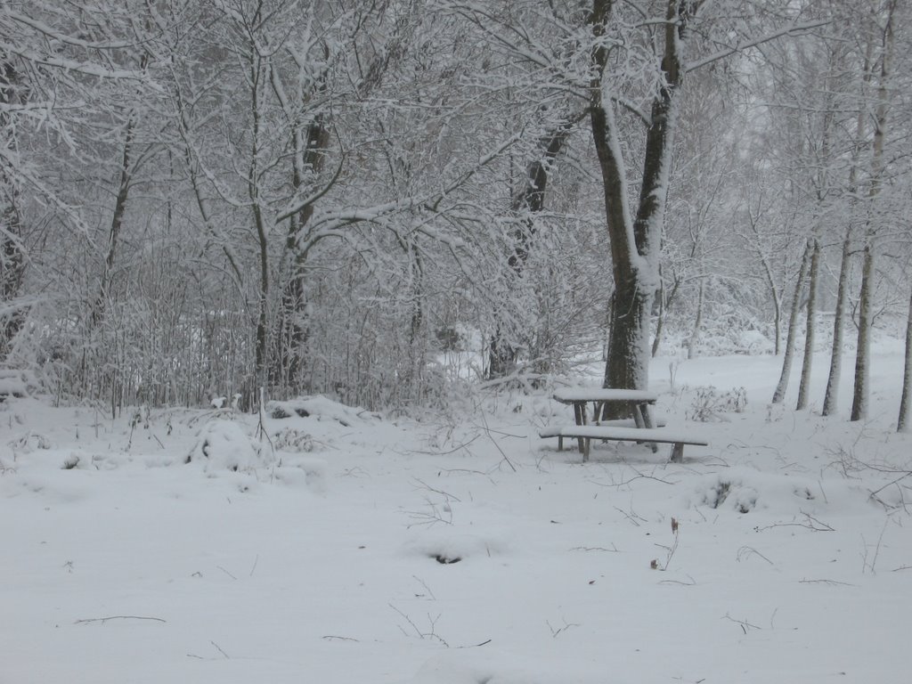 тоска по лету