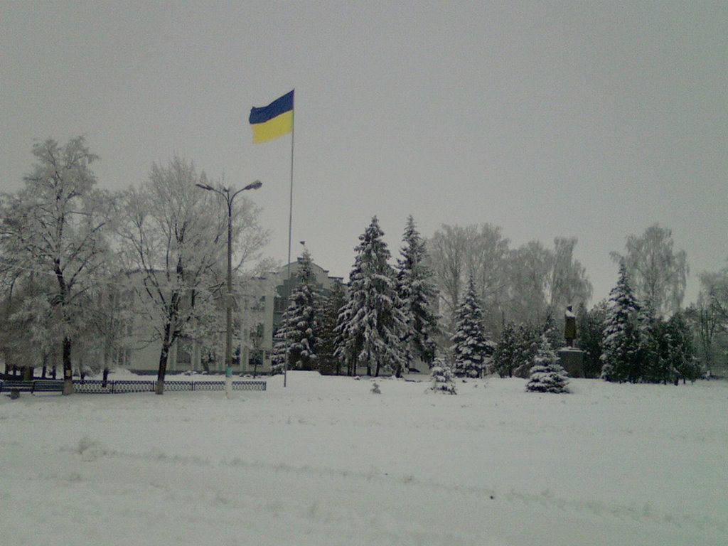 Зима площадь