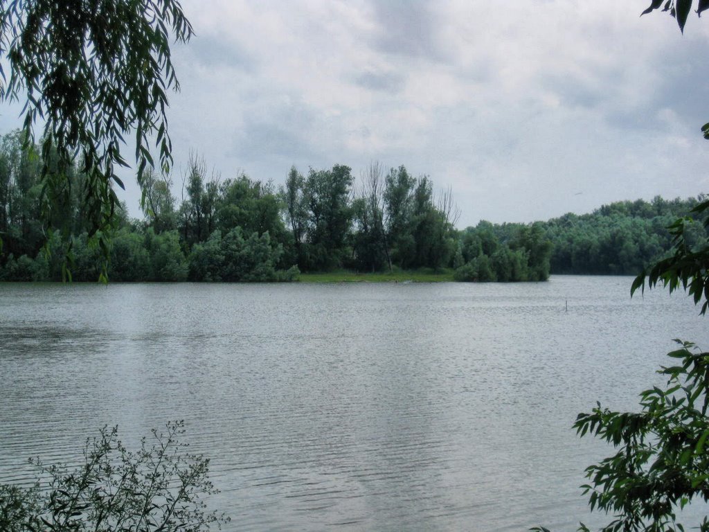 Черниговская область