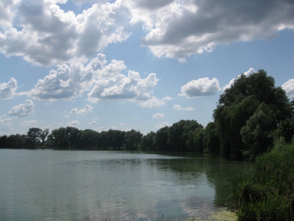 речка Борзенка, г.Борзна
