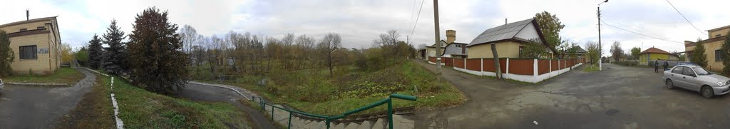В городе Борзна