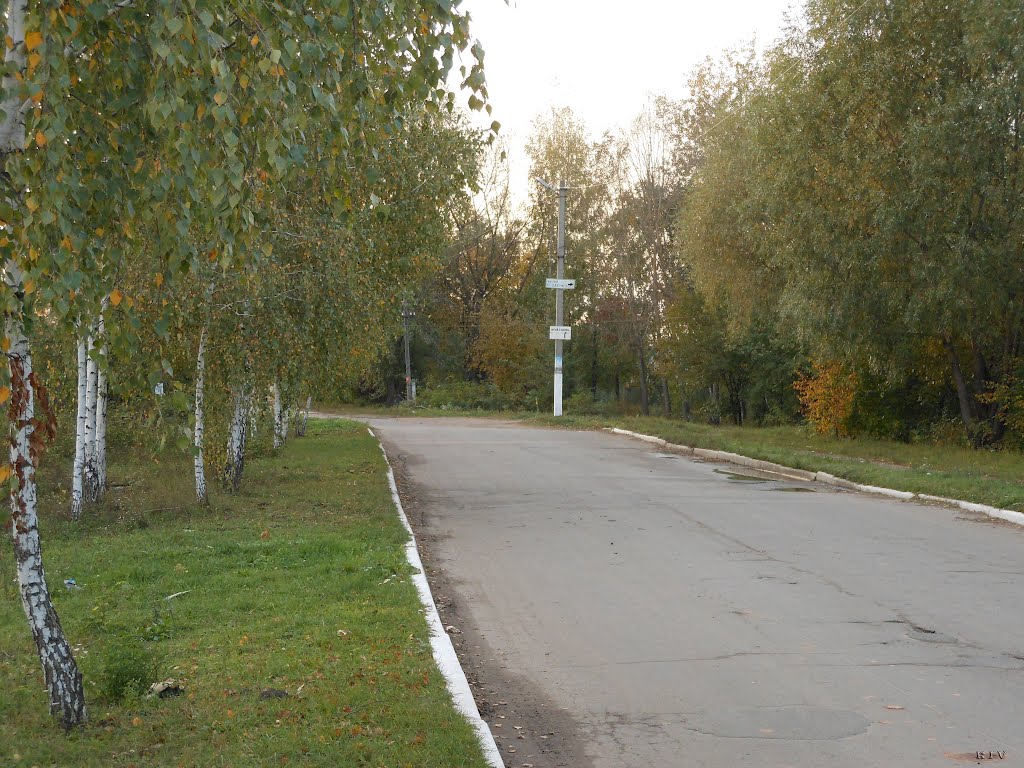 Здесь когда то была дамба