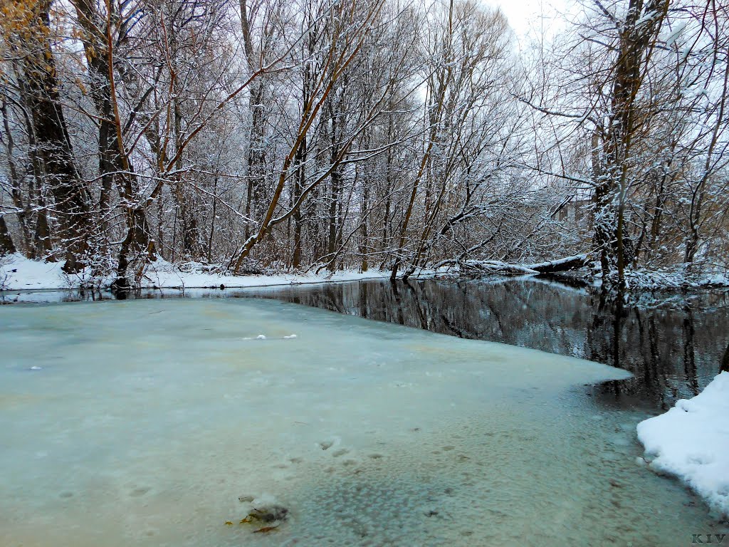 р. Борзенка