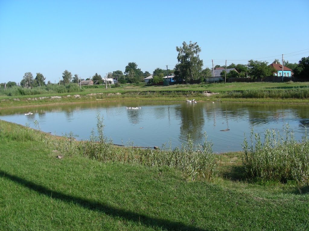 Lebediove boloto (swan marsh)