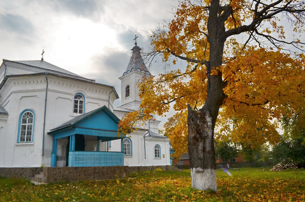 Nizhyn