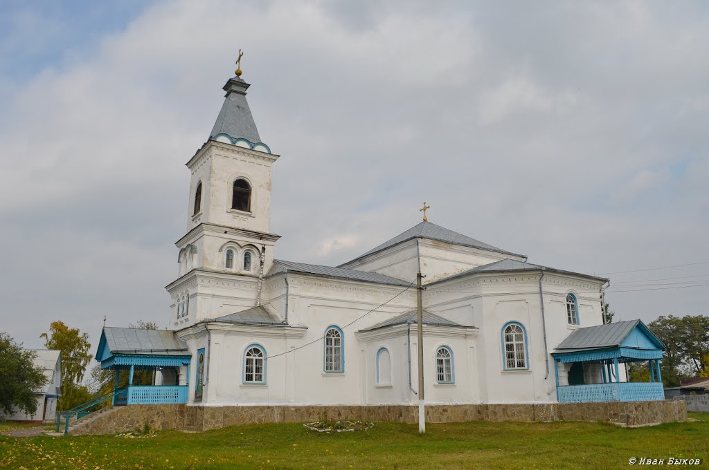 Вертиевка. Николаевская церковь. 1887 г. / Vertievka. Nicholas Church. 1887