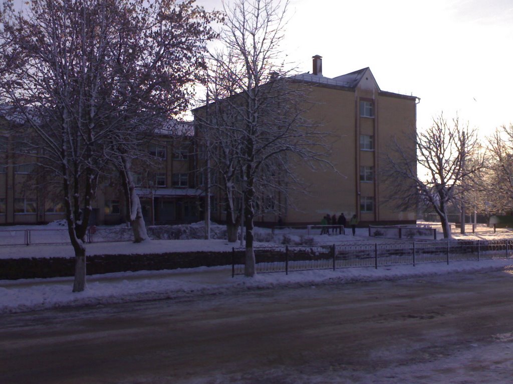 Школа N2