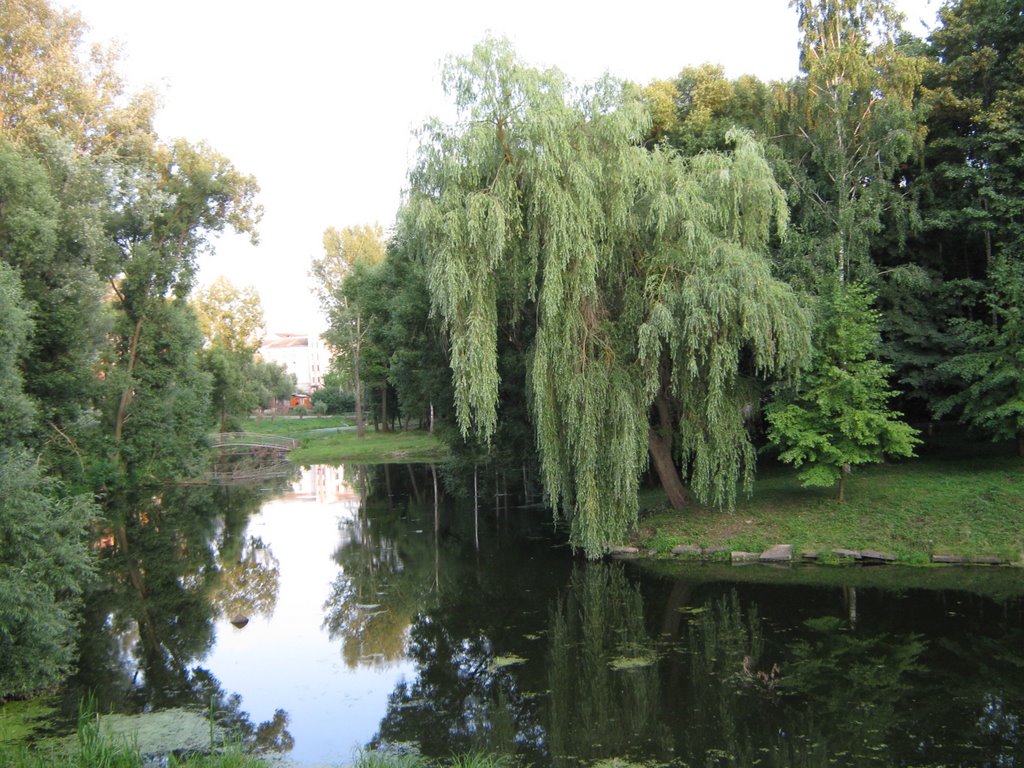 Чибриж