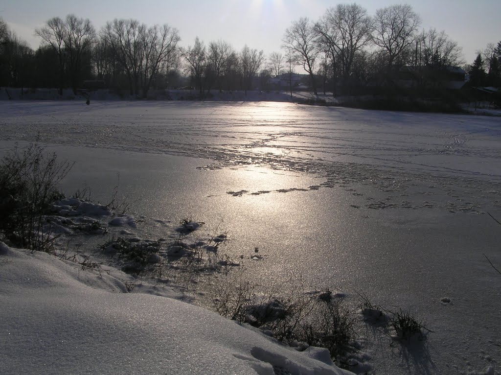 чибрыж