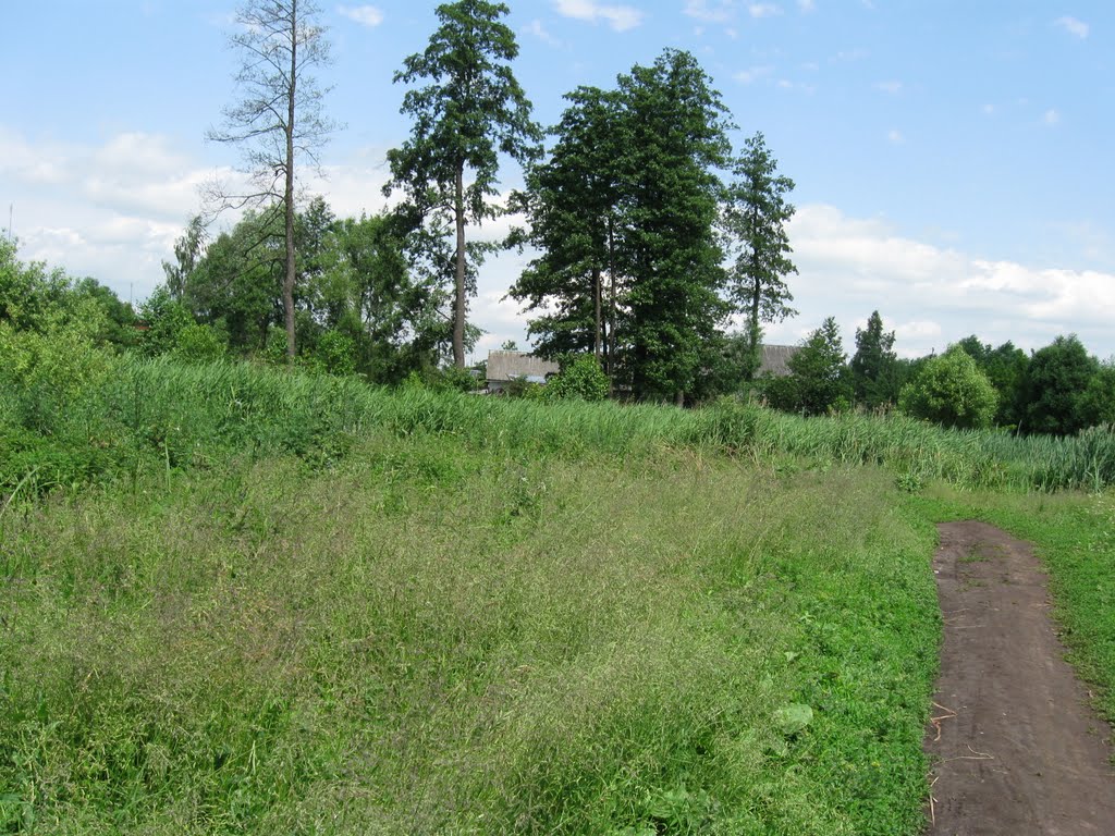 The path to the rivers edge