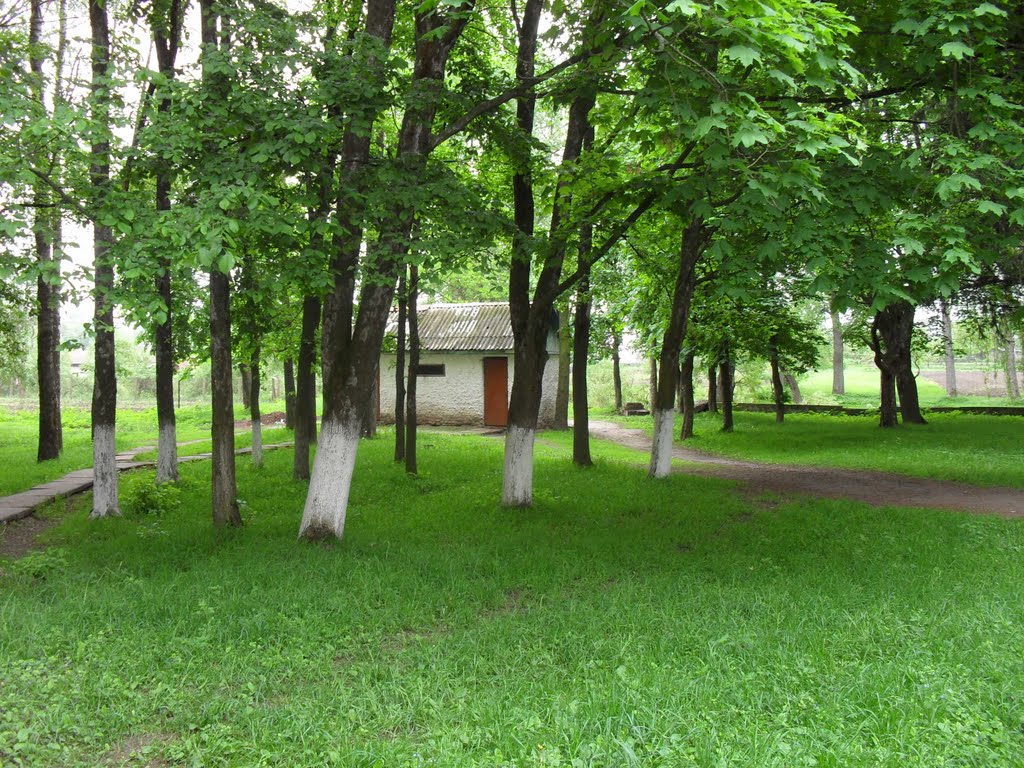 Parco internat