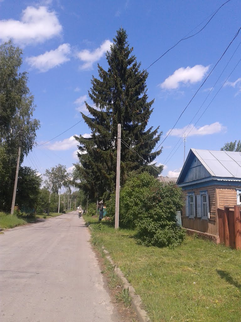 ул.Пролетарская