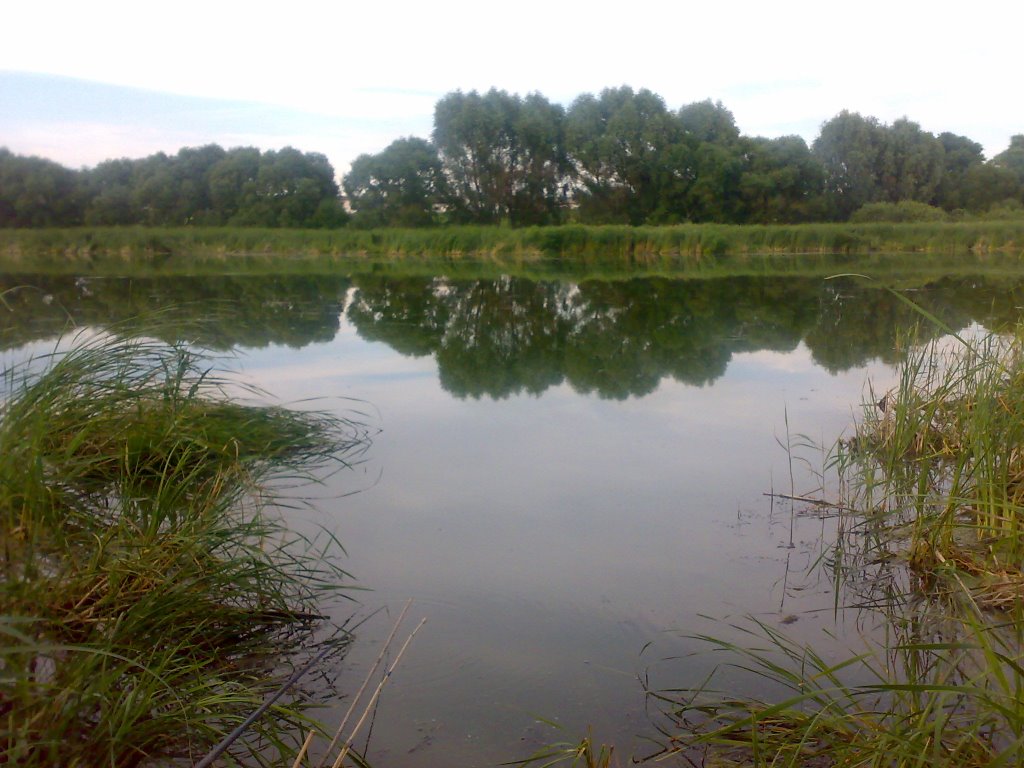 Панський