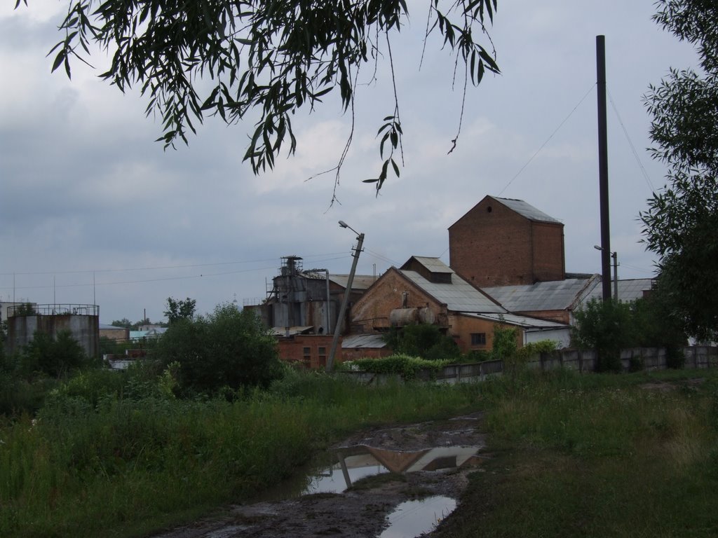 Spirit Factory