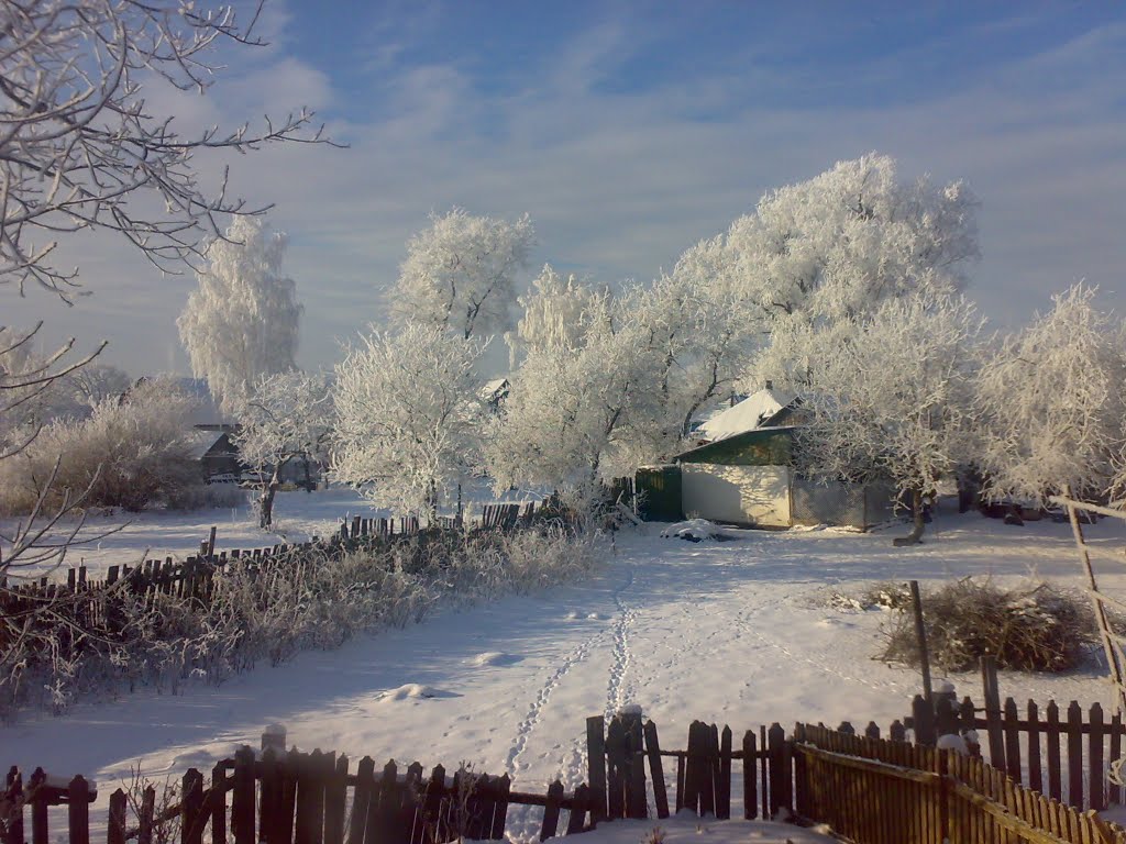 Ичня-зіма(2009-2010р)