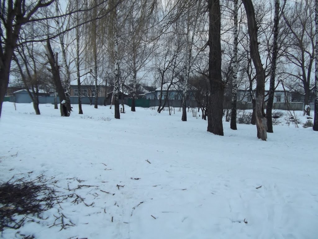 Наш парк Перемоги 31