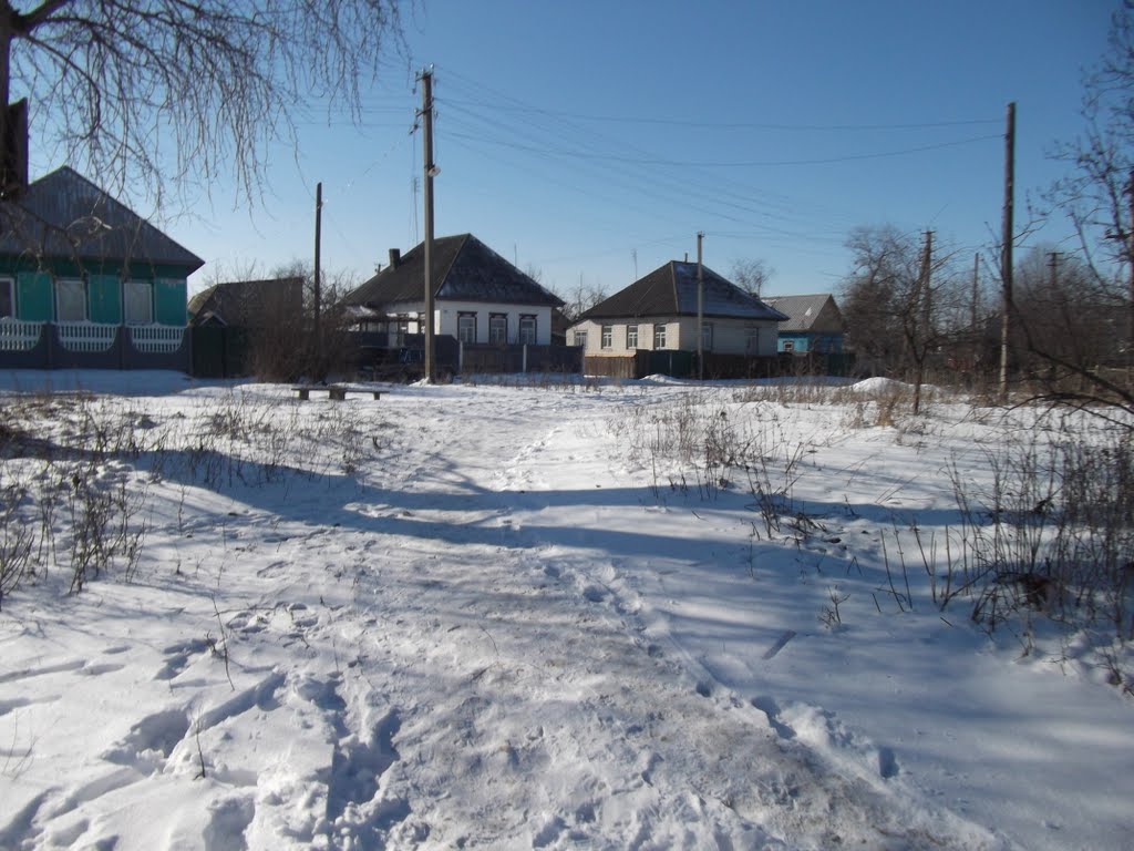 Поворот на улицу Холода