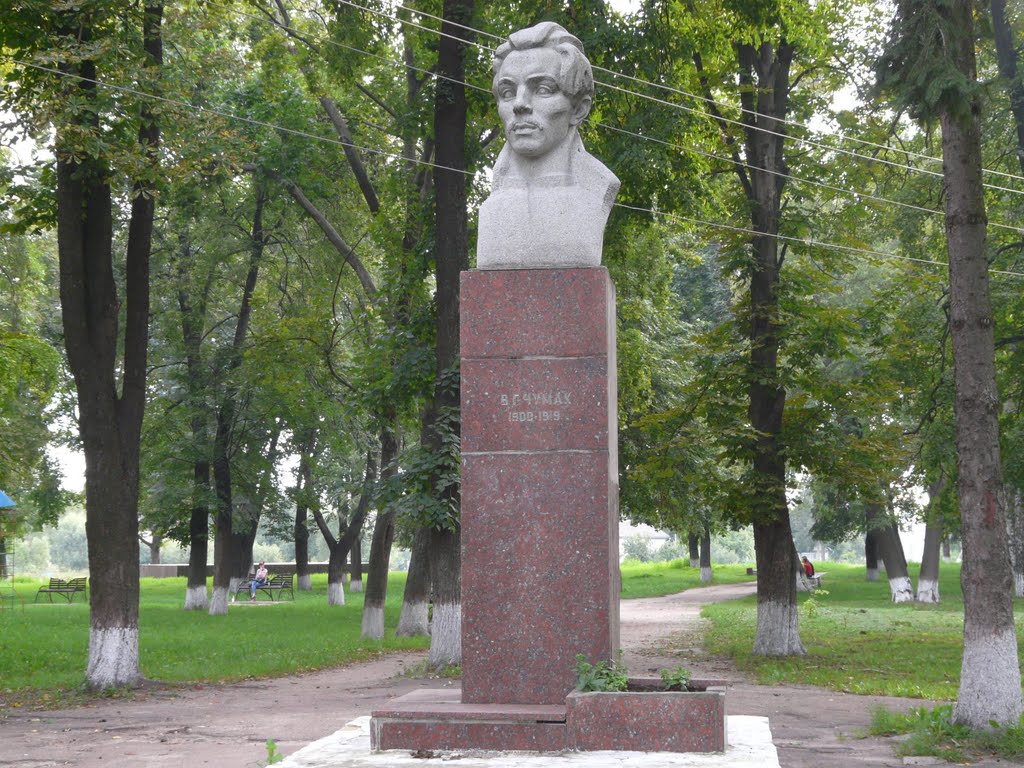 В.Г.Чумак