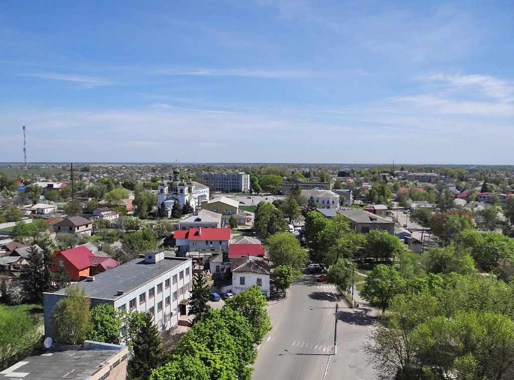 вид з дзвінниці на центр Козельця, view from bell tower