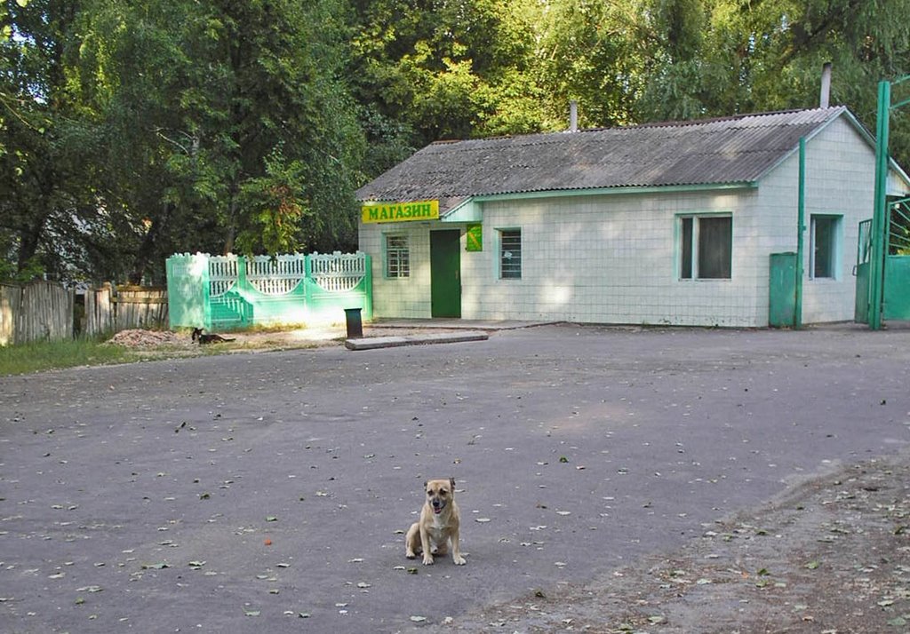 Магазинчик на повороте